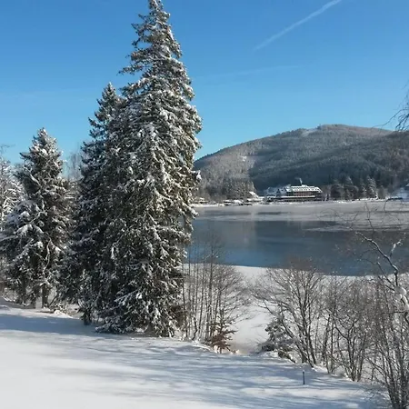 Holiday home Am Titisee - Mit Seeblick & Eigenem Seezugang,