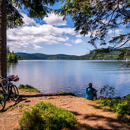 Holiday home Am Titisee - Mit Seeblick & Eigenem Seezugang, Hinterzarten