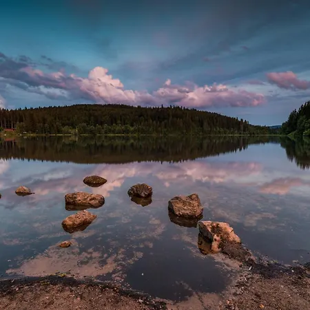 Am Titisee - Mit Seeblick & Eigenem Seezugang, Hinterzarten