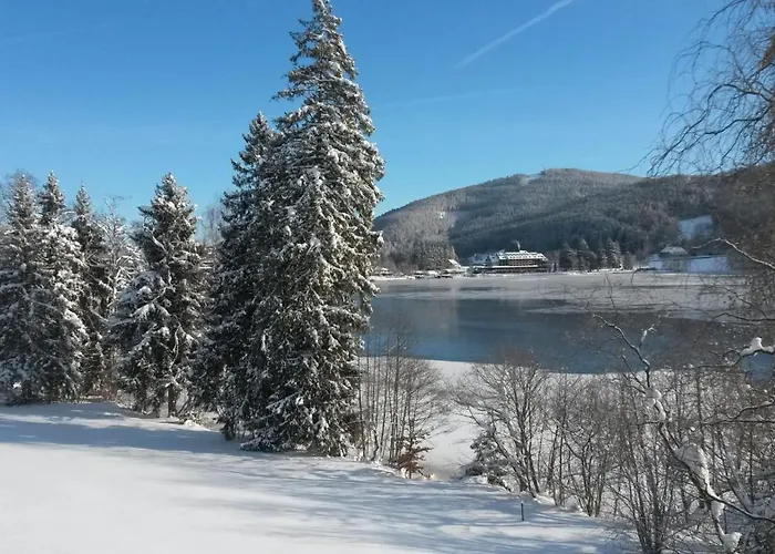 Casa vacanze Am Titisee - Mit Seeblick & Eigenem Seezugang,