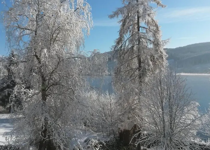 Am Titisee - Mit Seeblick & Eigenem Seezugang, Casa vacanze *