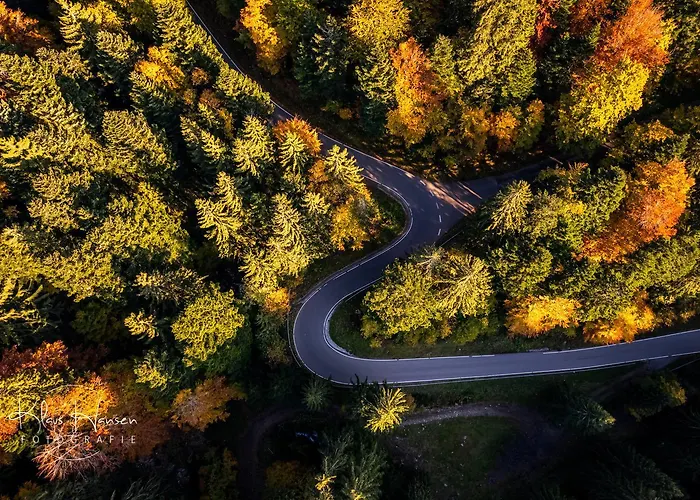 Am Titisee - Mit Seeblick & Eigenem Seezugang, Casa vacanze Hinterzarten