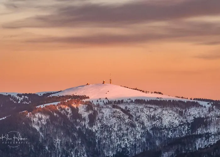 Am Titisee - Mit Seeblick & Eigenem Seezugang, Casa vacanze *