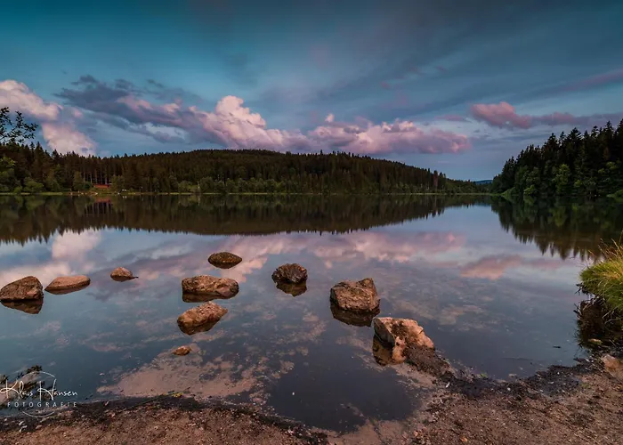 Am Titisee - Mit Seeblick & Eigenem Seezugang, Hinterzarten